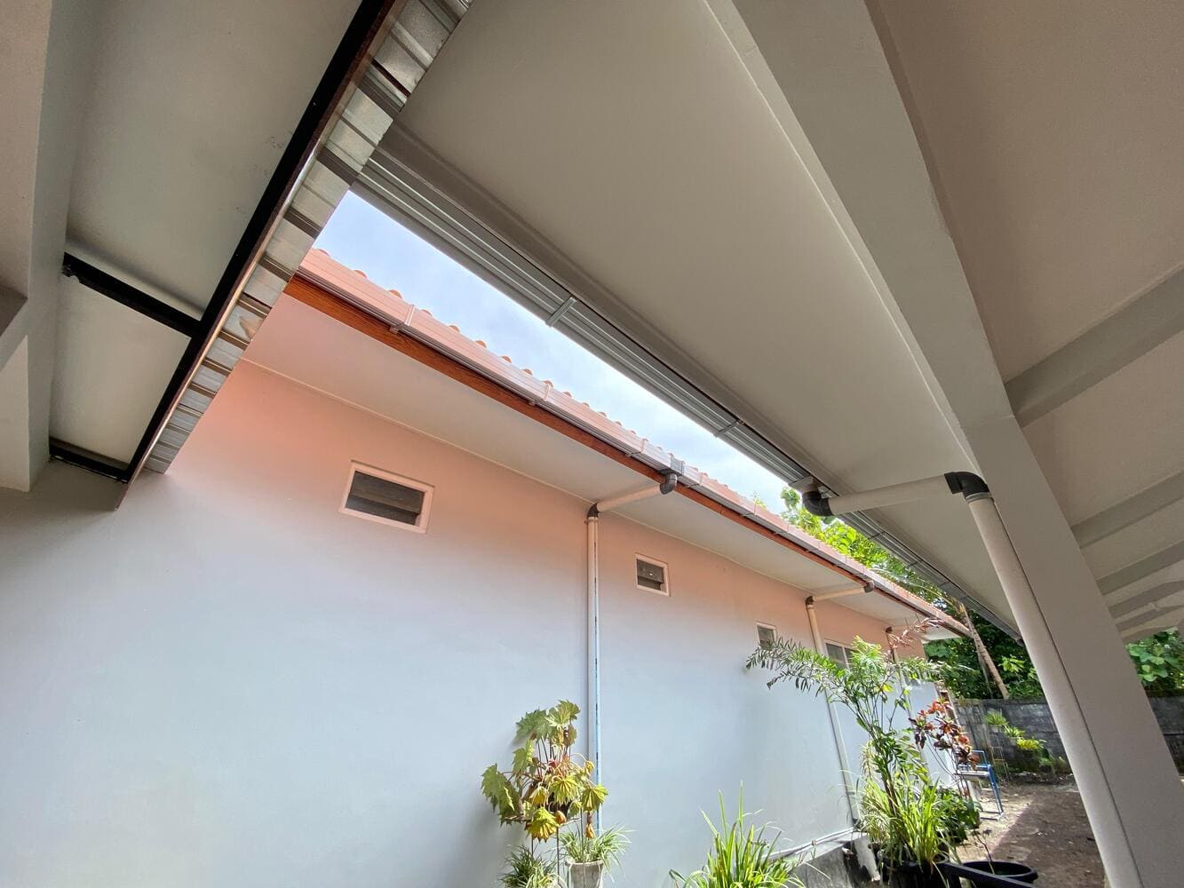 Taman